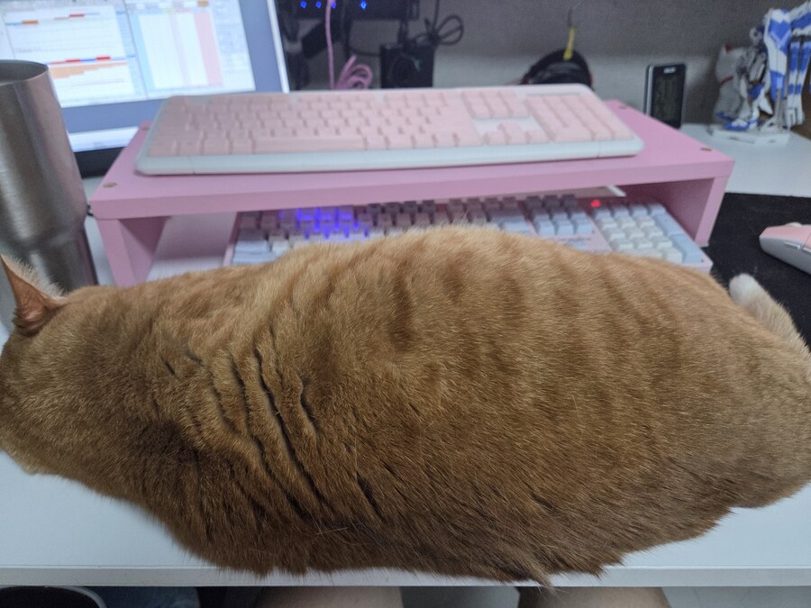 우리집에 도둑이 들었음_1.jpg