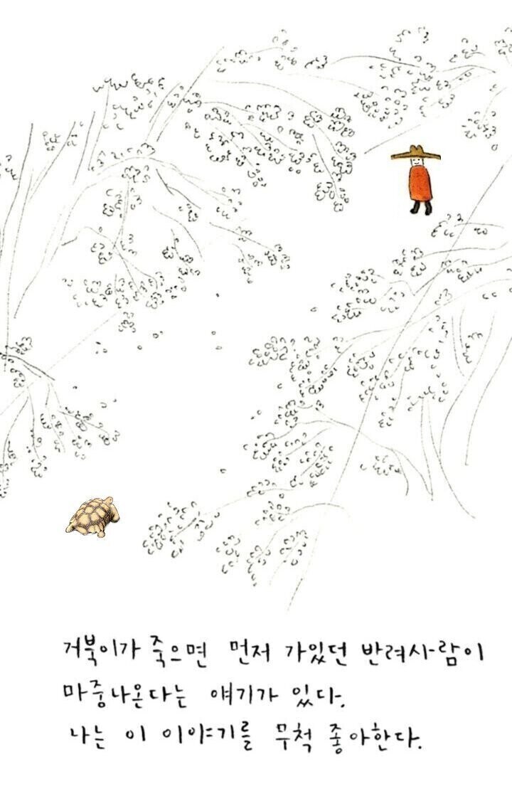 반려견 죽을까봐 못 키우겠다는 사람에게 제시한 해결책.jpg_2.jpg