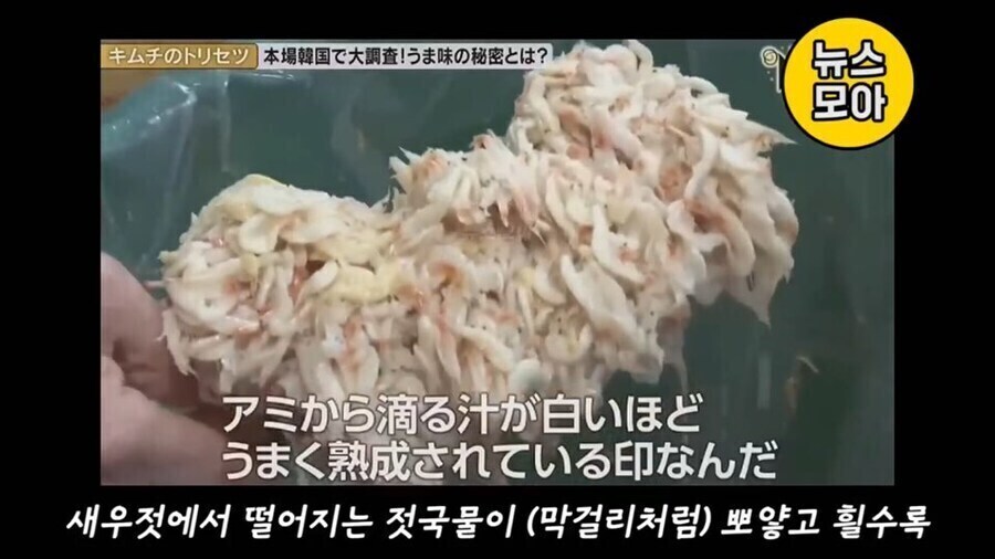 베스트 혐한 김치방송 앞부분을 알아보자_7.jpg