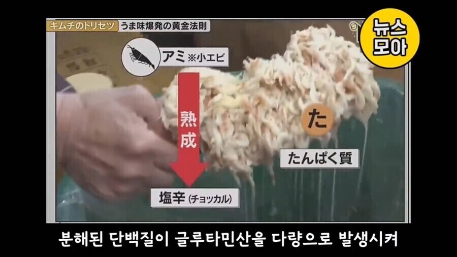 베스트 혐한 김치방송 앞부분을 알아보자_9.jpg