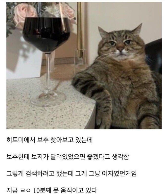 충격적인 진실을 깨달았음.jpg_1.png
