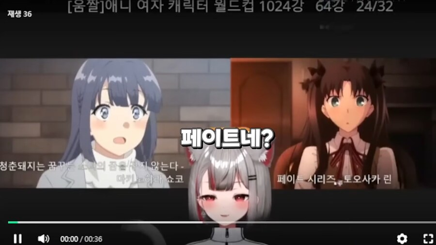 버튜버,페이트)토오사카 린 비난에 긁혀버린_1.png