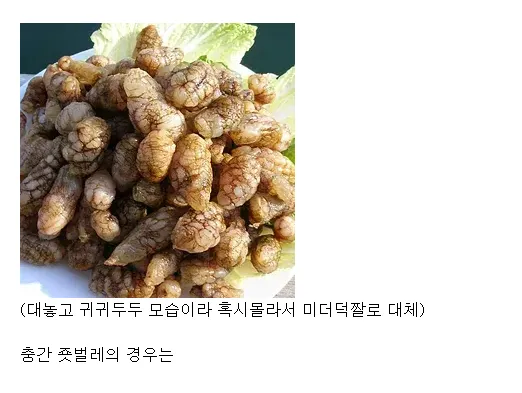 페이트가 양지화를 위해 바꾼 설정들_3.webp