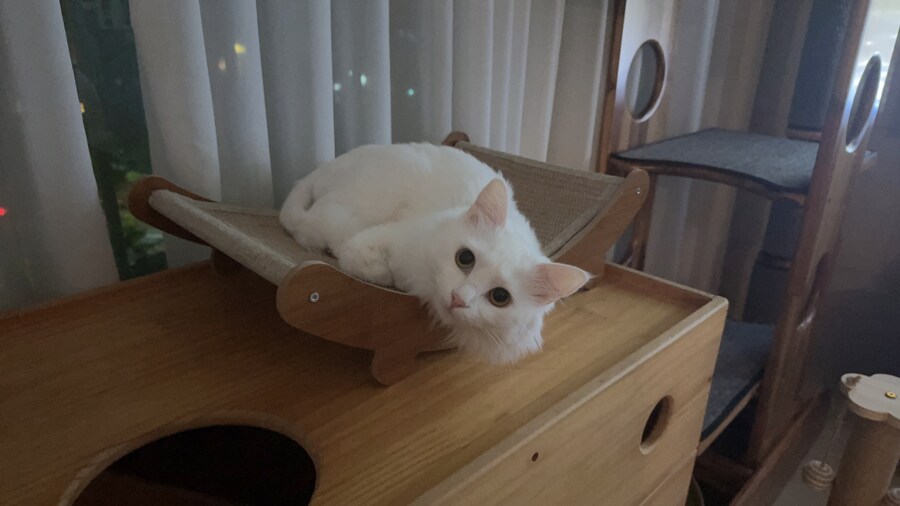 정은 주지 않겠다고 생각한지 500여일째_40.jpg