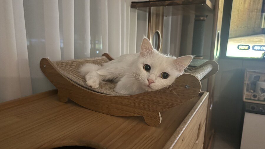 정은 주지 않겠다고 생각한지 500여일째_41.jpg