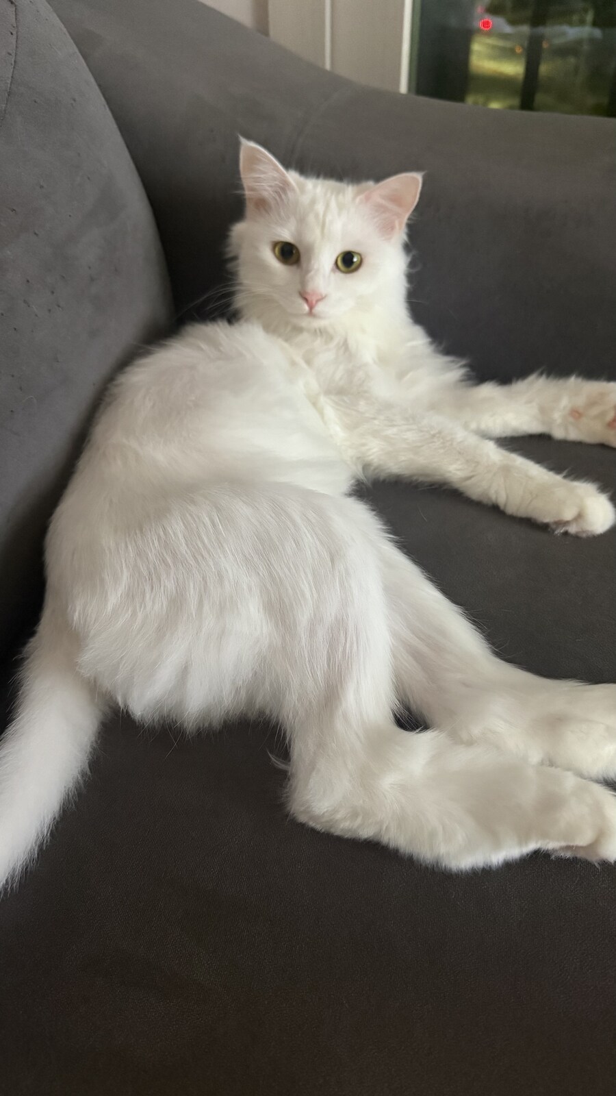 정은 주지 않겠다고 생각한지 500여일째_45.jpg