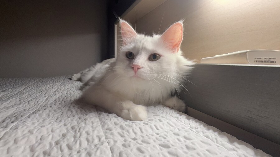 정은 주지 않겠다고 생각한지 500여일째_47.jpg