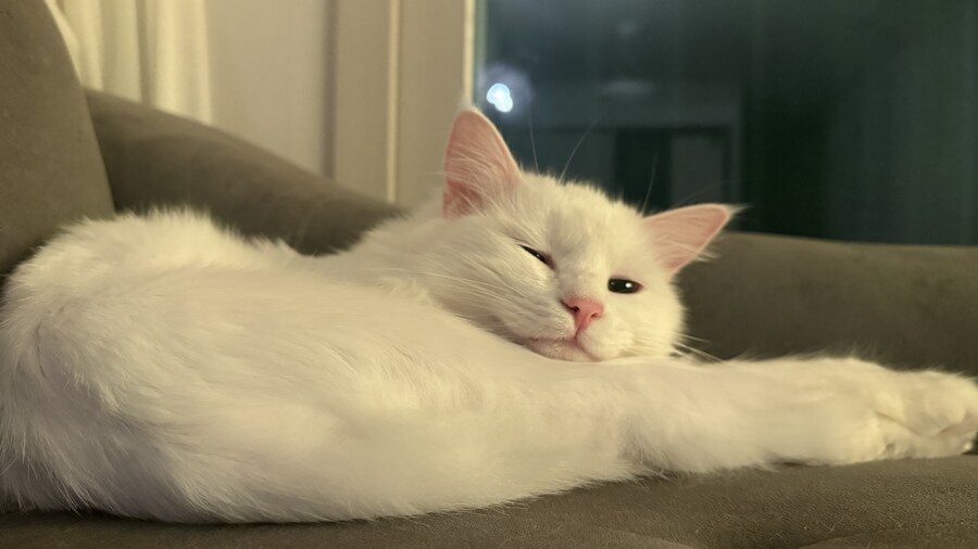 정은 주지 않겠다고 생각한지 500여일째_46.jpg