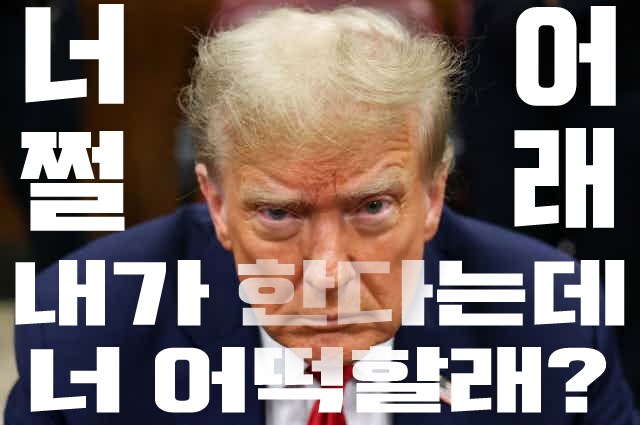 왜 총리따리가 트럼프 왈가왈부하나??_1.png