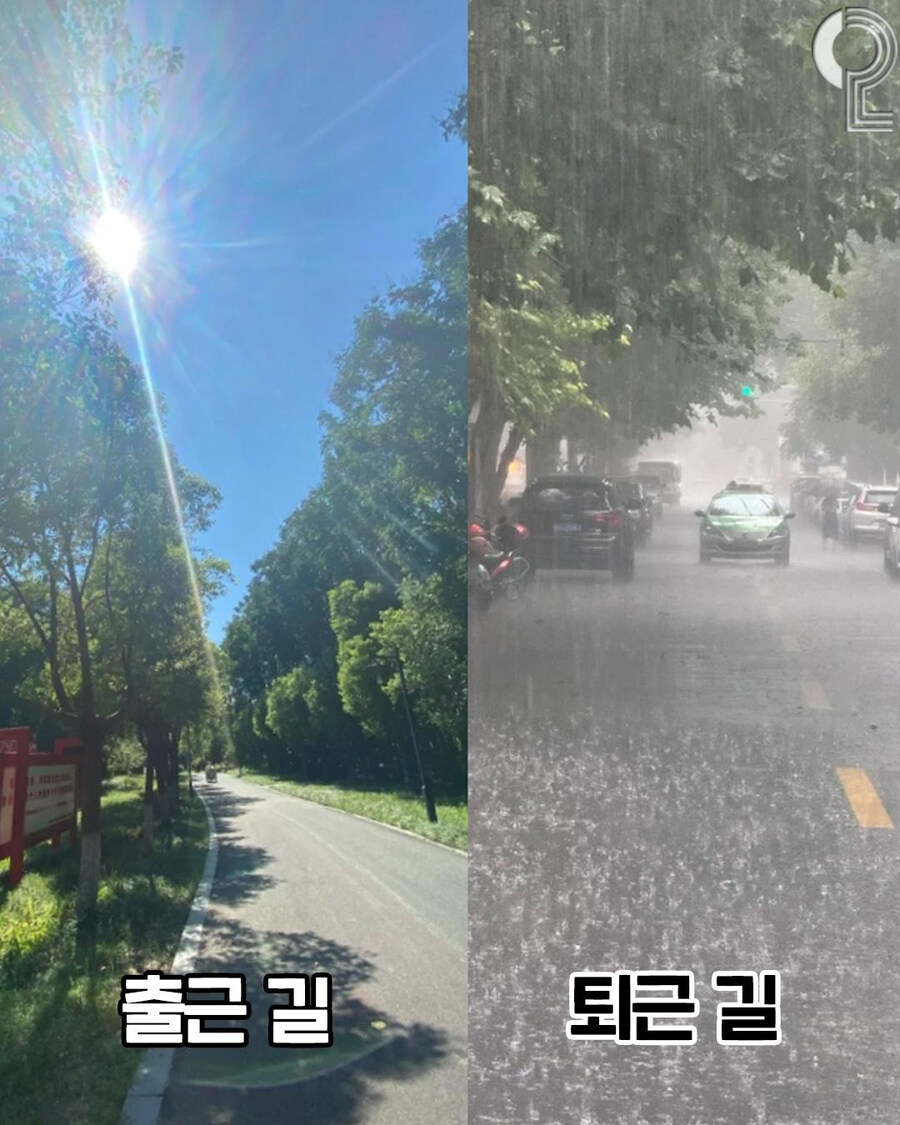 날씨 : 절대로 인간들을 편하게 하지 않겠다_1.jpg