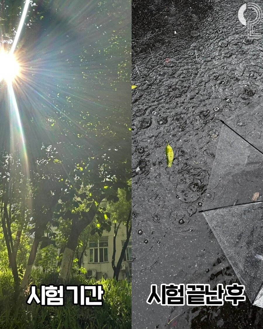 날씨 : 절대로 인간들을 편하게 하지 않겠다_2.jpg