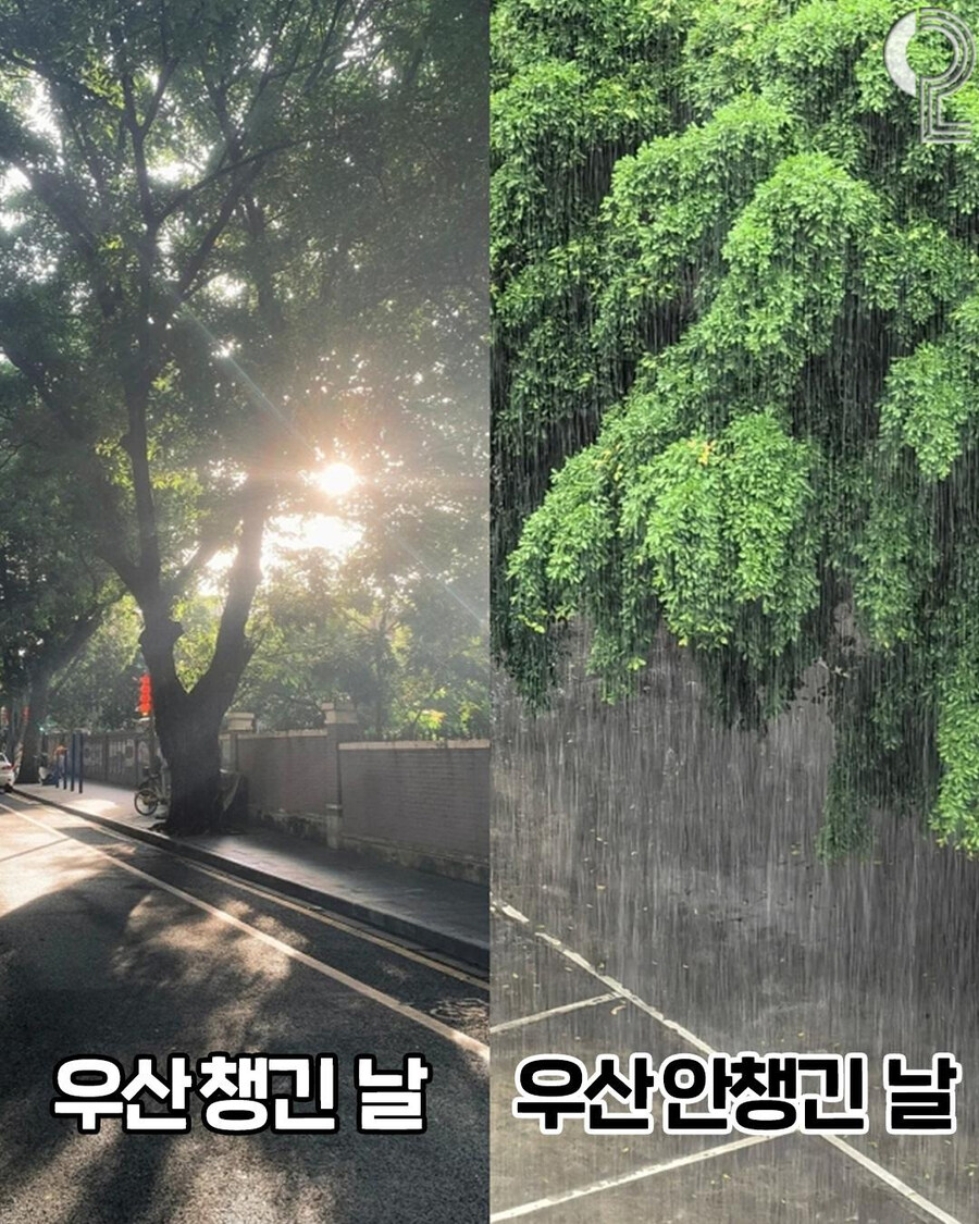 날씨 : 절대로 인간들을 편하게 하지 않겠다_3.jpg
