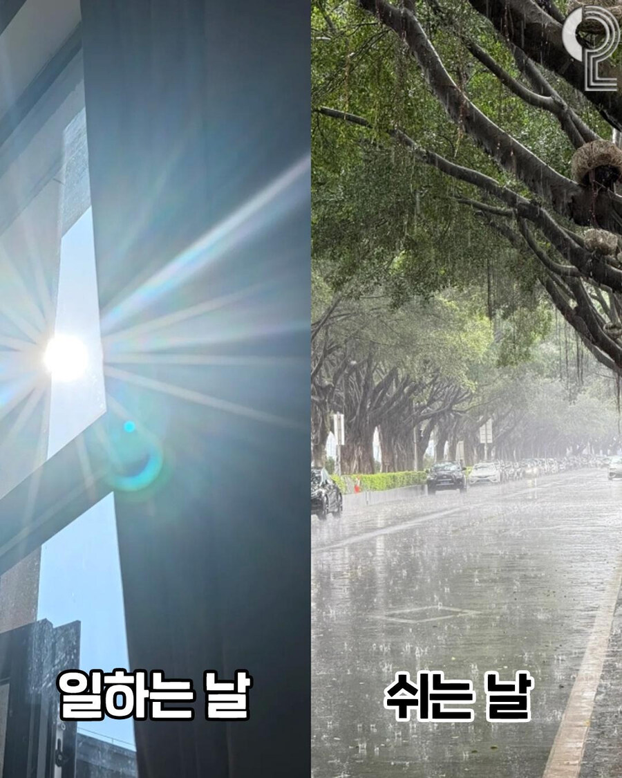 날씨 : 절대로 인간들을 편하게 하지 않겠다_4.jpg