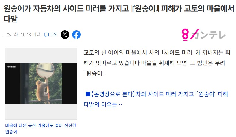 이젠 자동차 사이드 미러까지 훔쳐간다는 일본 도둑놈들 수준 gif_1.png