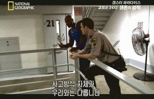 ㅇㅇㄱ) 이대로 패거리 와해돼도 환생으로 슬그머니 들이댈거 거같음_1.jpg