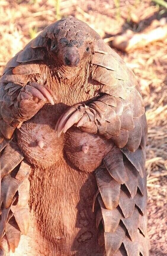 ㅈ토피아가 아니라 젖토피아를 달리자._2.jpg