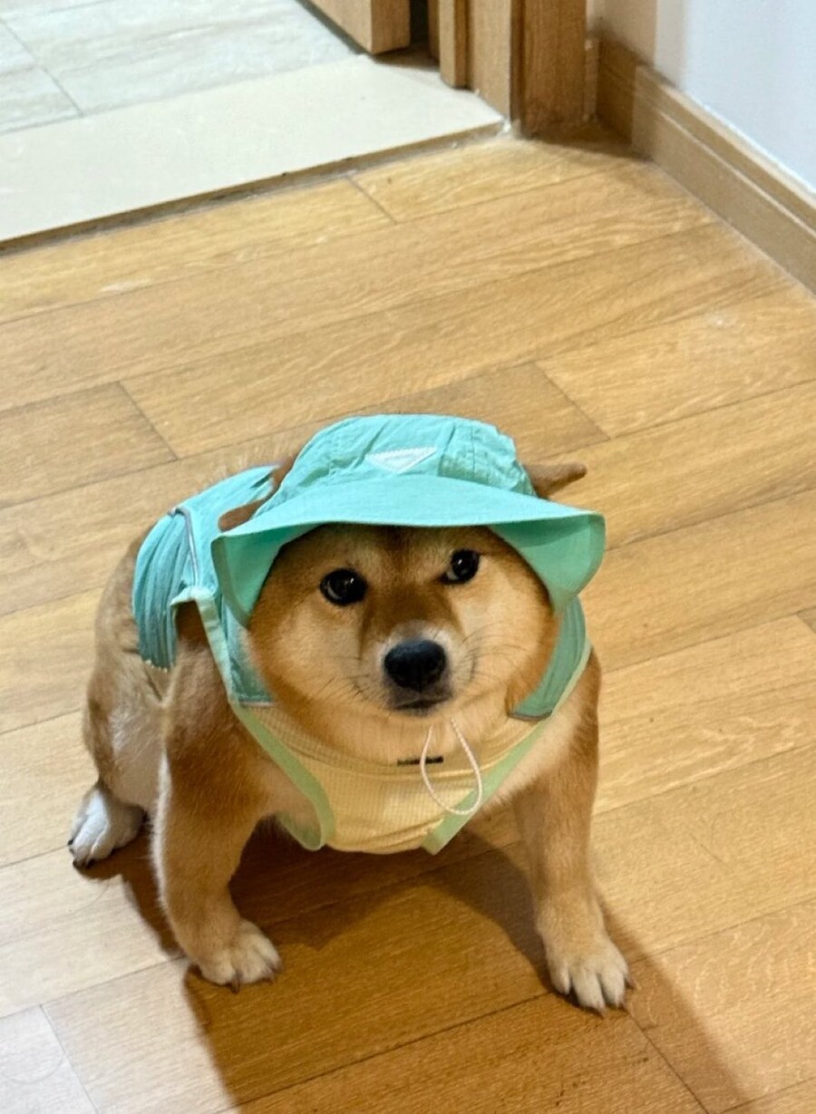 산...책...? 가자구요........?_1.jpg