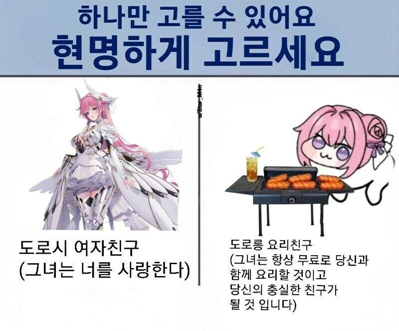 도로시 여자친구 vs 도로롱 요리친구_1.png