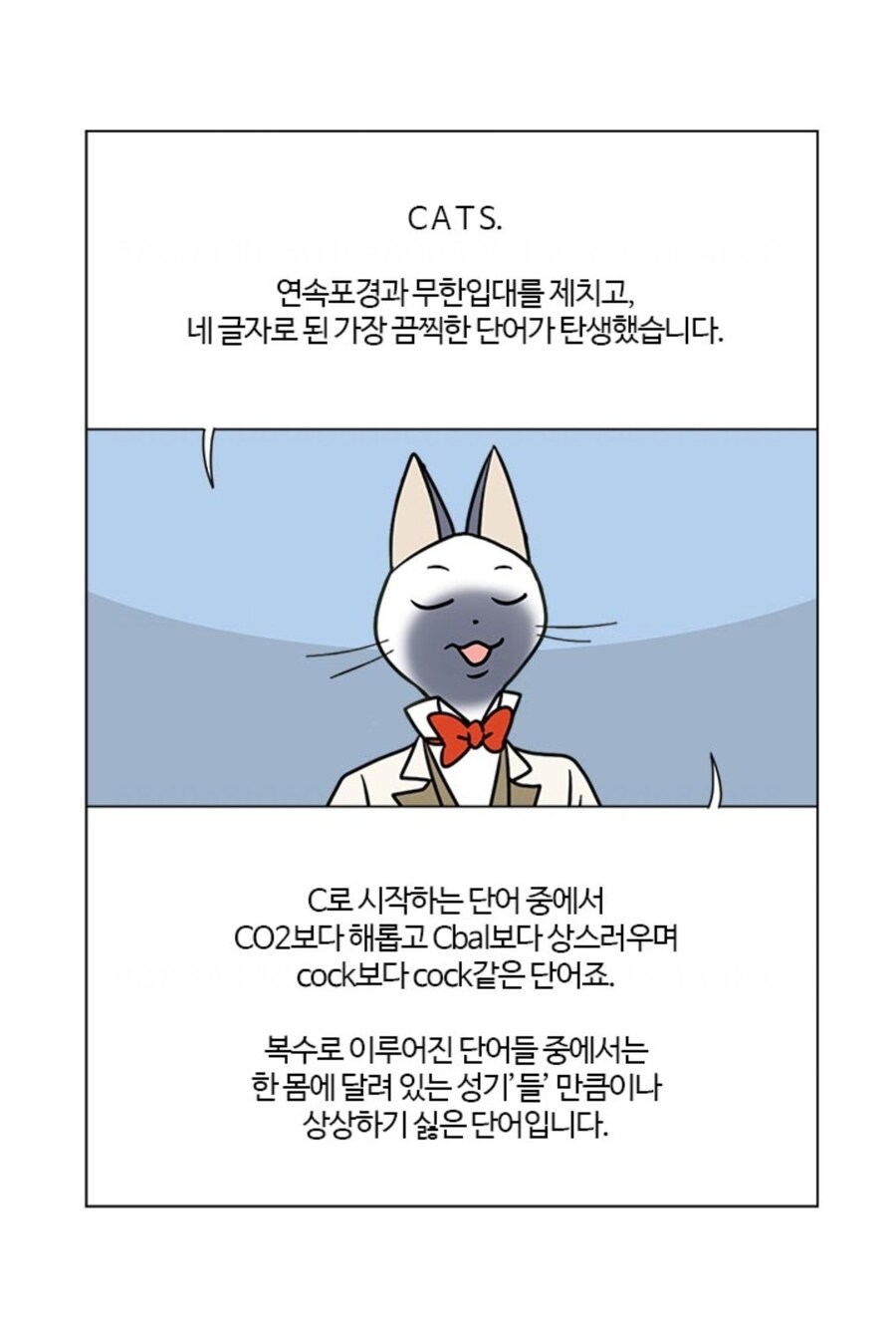 ㅇㅇㄱ) 근데 치지직을 왜그렇게 싫어함?_1.jpg