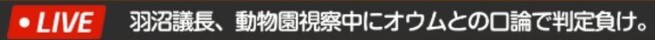 (블루아카) (일섭)(약스포) 빵빵터지는 뉴스들_5.jpg