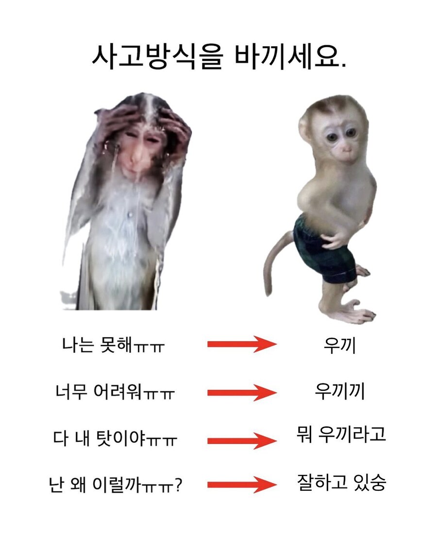 사고방식 짤 모음_1.jpg