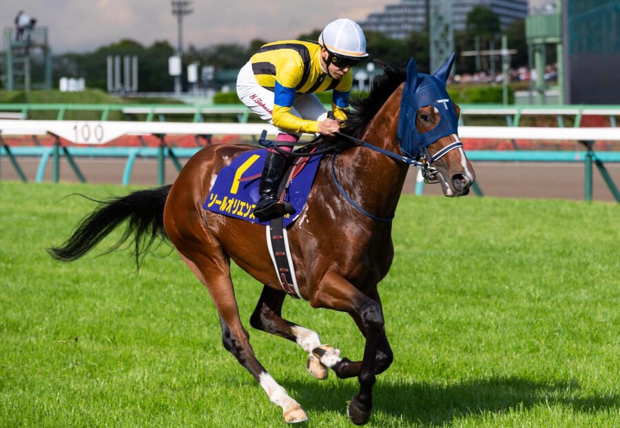 경마) / 말딸) 아이돌 호스 오디션 2025 개최_6.jpg