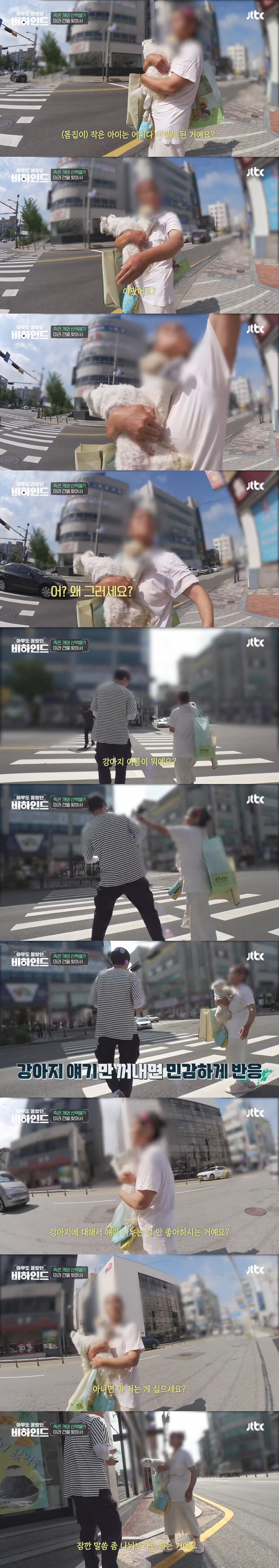매일 죽은 개를 안고 다니는 여자의 사연_3.jpg