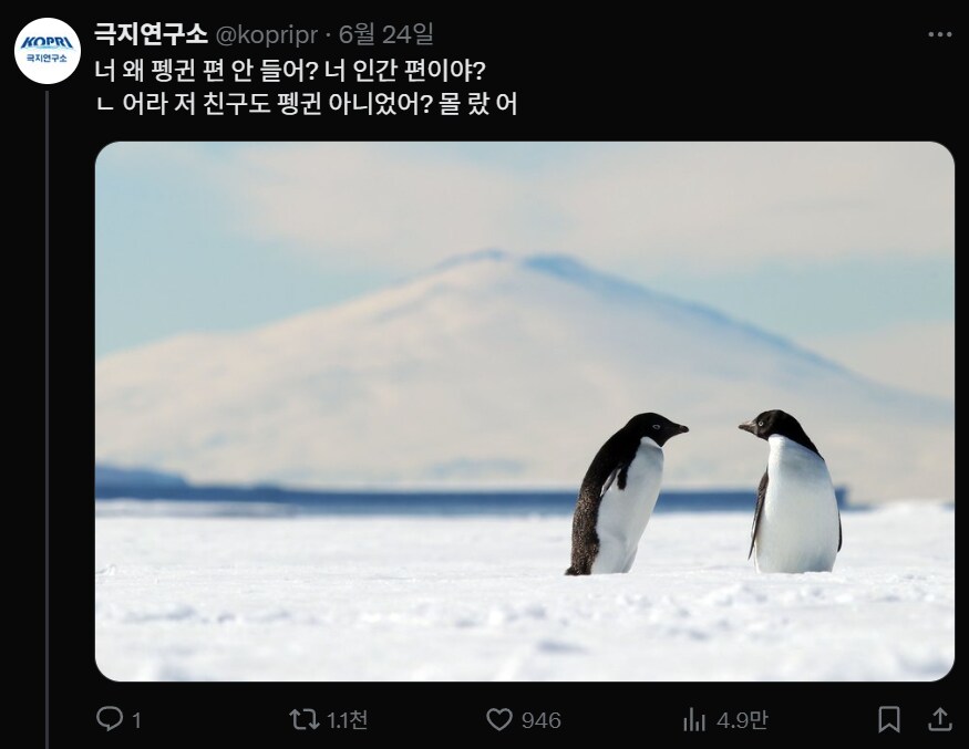 요즘 유머 감각 좋아서 자주 보는 계정_2.png