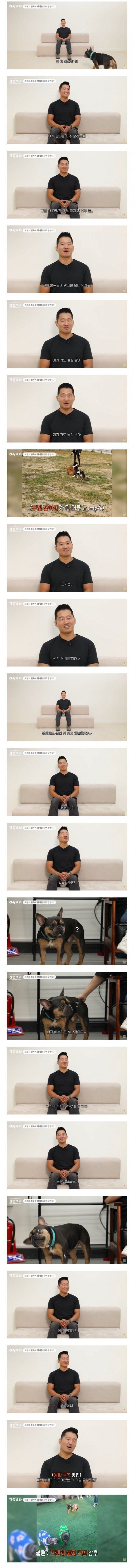 왕따를 자주 당한다는 견종_1.jpg