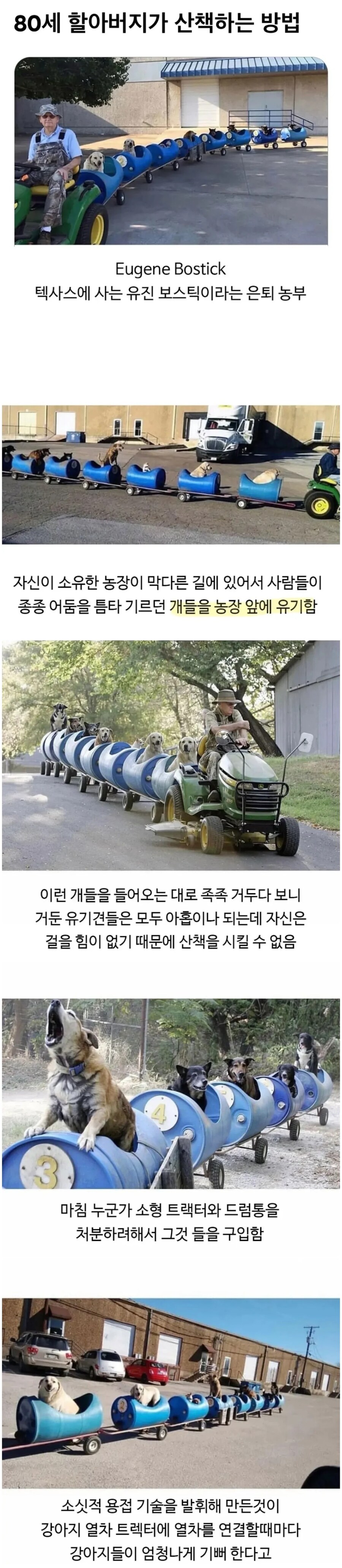 80세 할아버지의 강아지 산책 방법.jpg_1.jpg