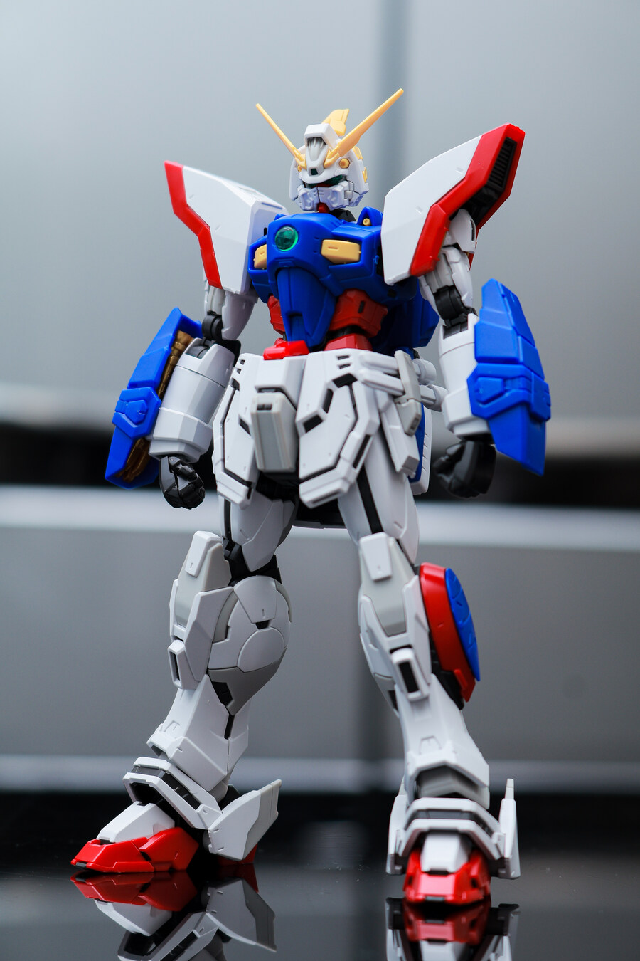 rg 샤이닝건담 조립완료!_5.jpg