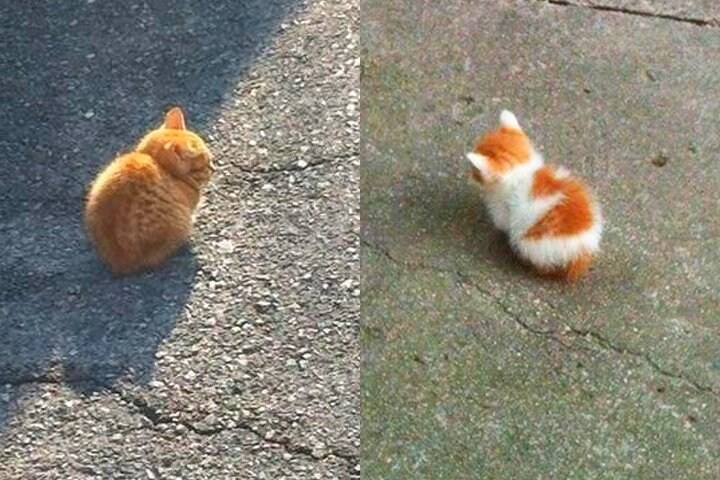 조랭이떡들.jpg_7.jpg