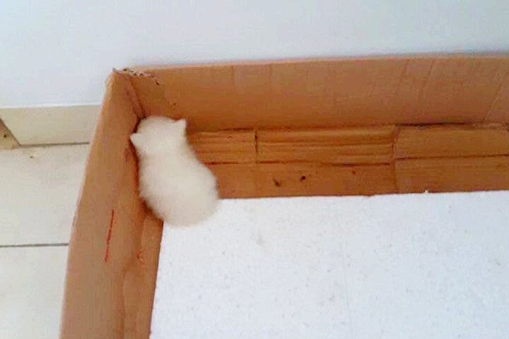 조랭이떡들.jpg_8.jpg