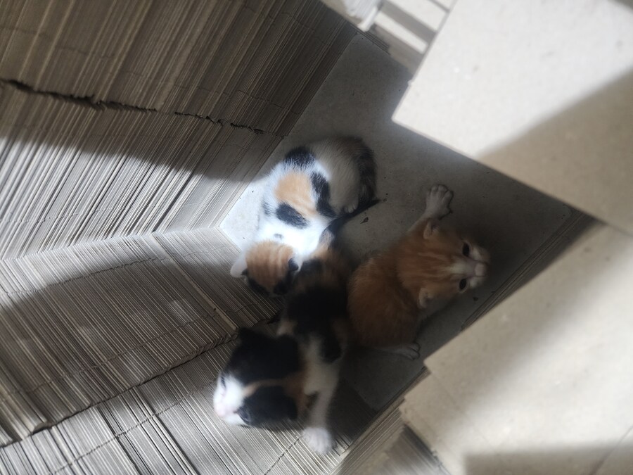 직원들이 급하게 불러서 내려가 봤는데..._1.jpg