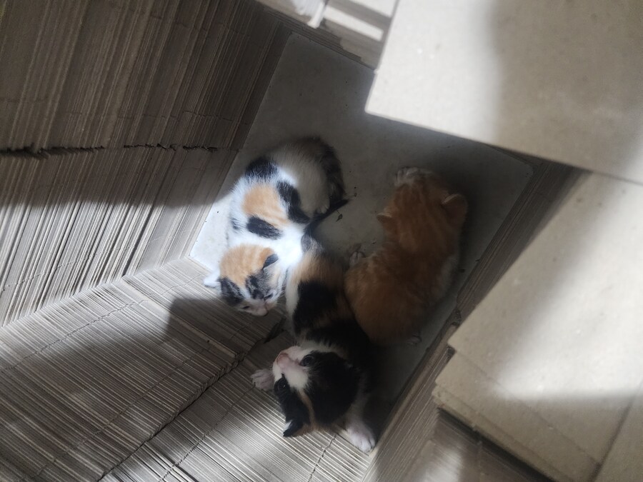 직원들이 급하게 불러서 내려가 봤는데..._2.jpg