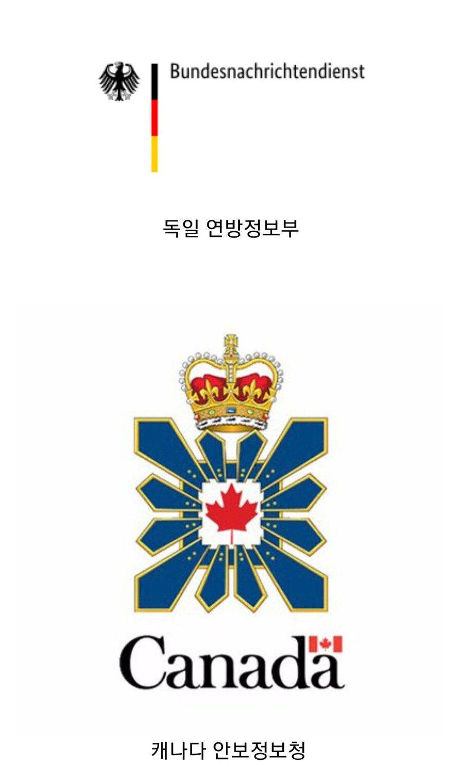 코난 검은조직과 적대하는 자들 모음.jpg_5.jpg