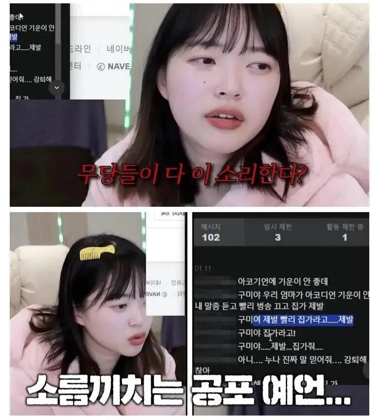 무당들이 제발 좀 치워버리라는 어느 스트리머의 소장품_2.jpg