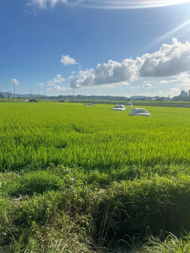 폭우 이후 서산.jpe_1.webp