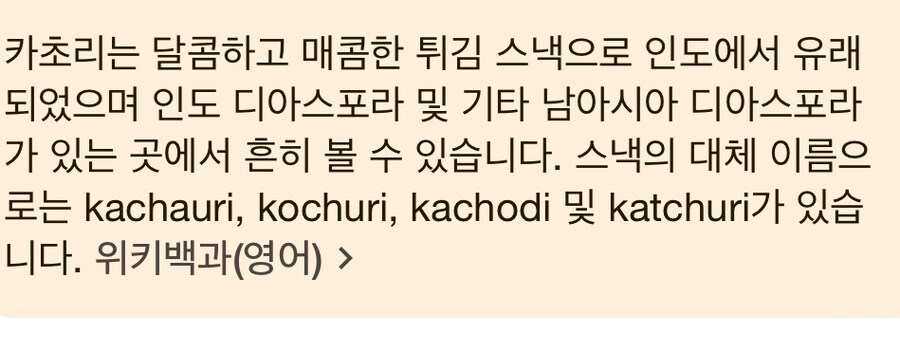 인도 아침식사.jpg_2.jpg