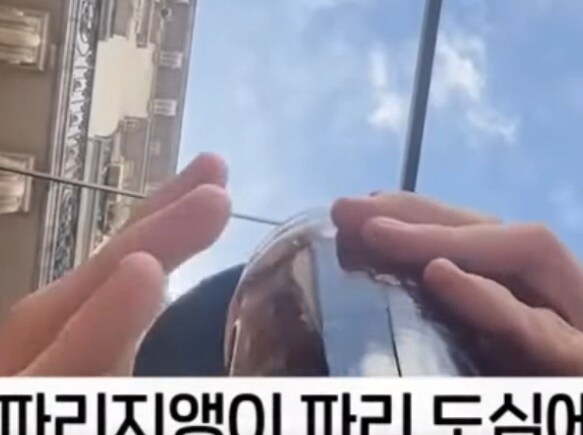 ??????뉴스보는데 이거 뭐지????????????_1.png