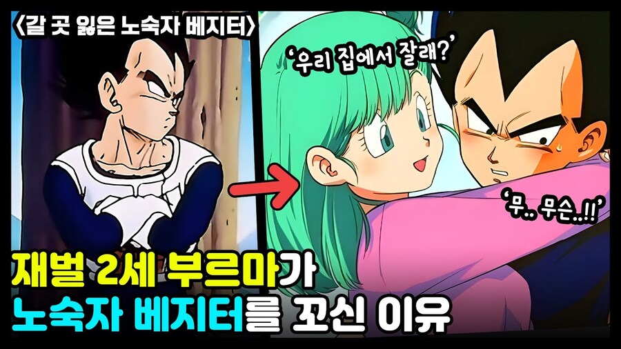 [드래곤볼] 야무치가 무도가 은퇴한 이유_9.jpg