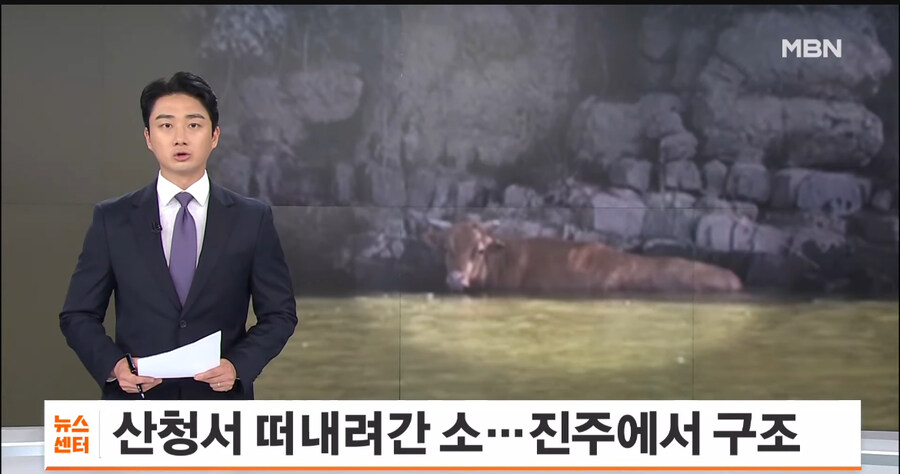 폭우로 떠내려간 와츄고나두_1.jpg