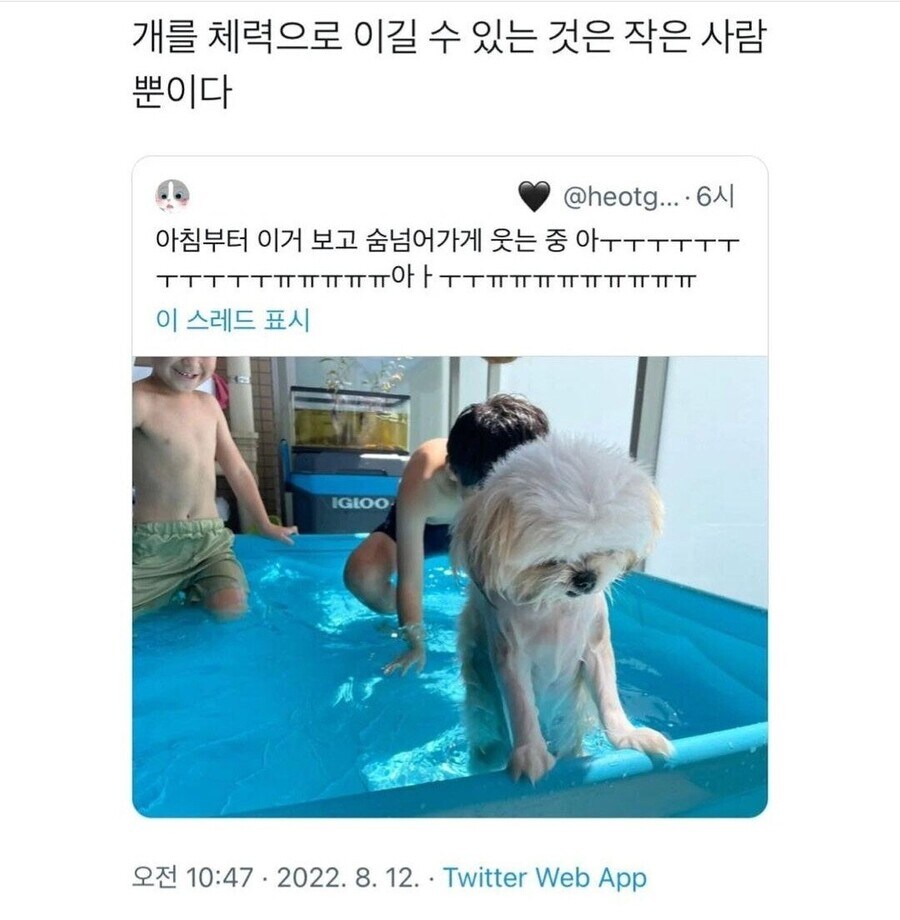 병들고 지친 엄마의 구조 요청_2.jpg
