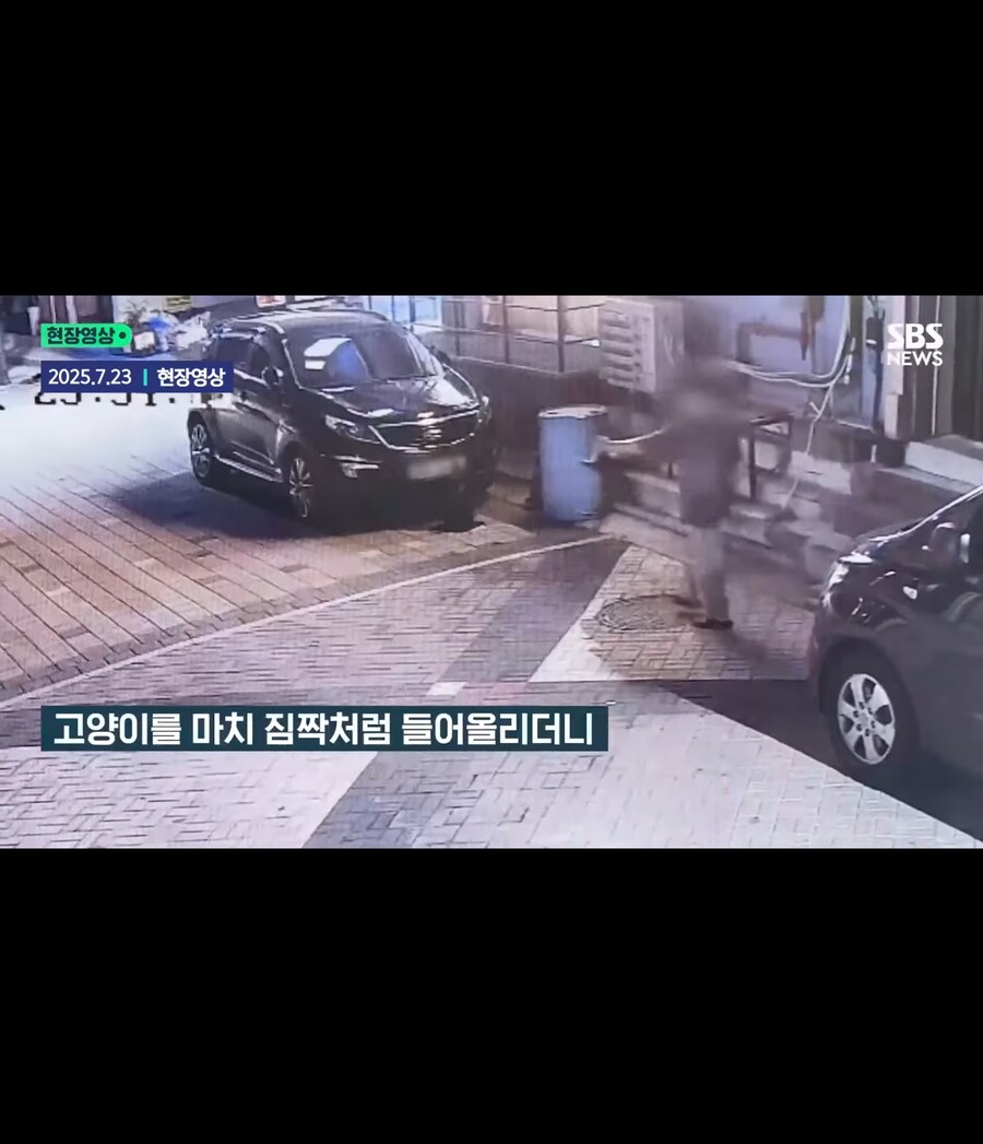 고양이가 할퀴어서 화가나 고양이를 죽인 남성_5.jpg