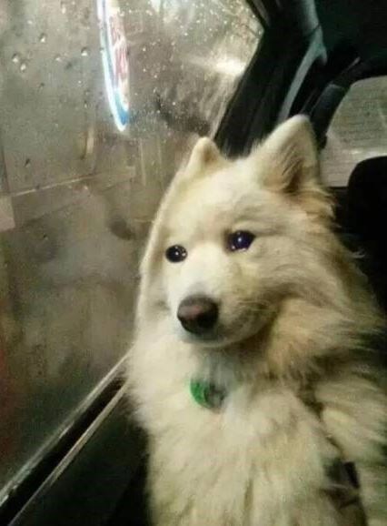 사오리 어쩌구 하다가....._2.jpg