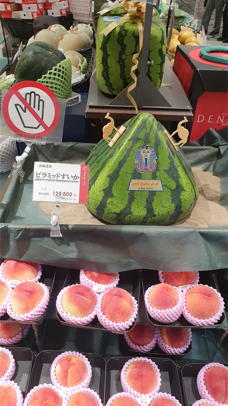 부모님 모시고 다녀온 일본 여행_4.png