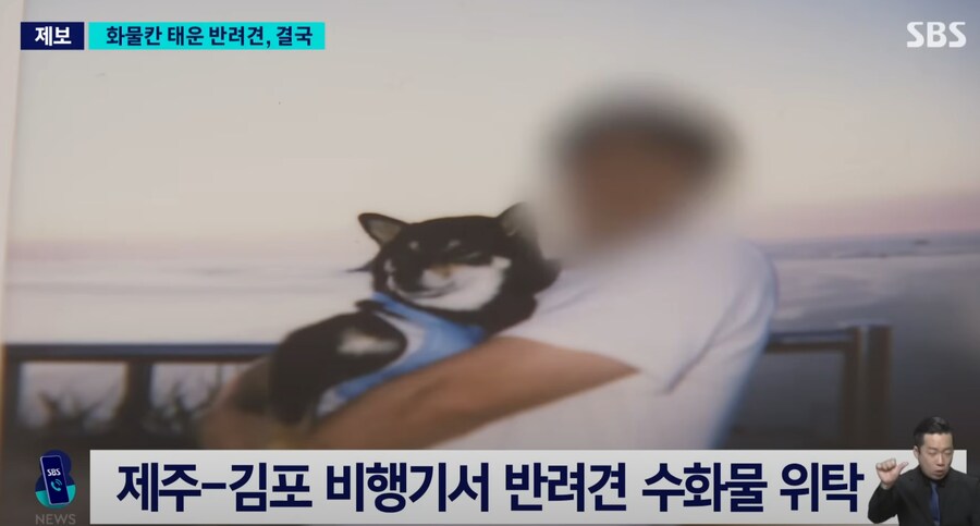 어느 견주때문에 반려견이 죽은 이유_1.png