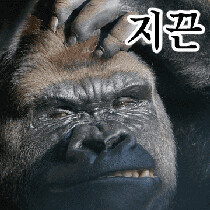 유게에서의 출석일, 레벨, 회원번호란_1.jpg