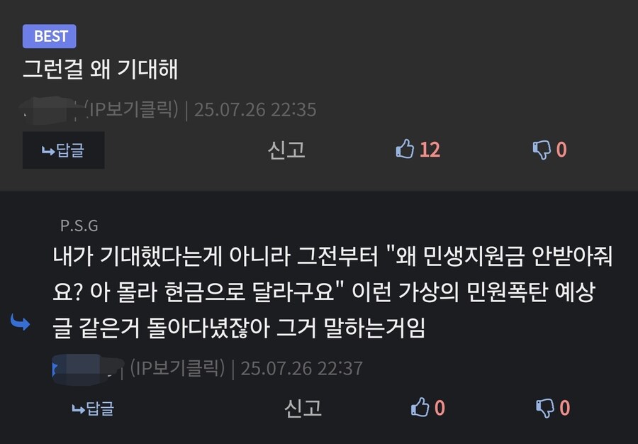 민생지원금으로 난리나길 기대했던 사람(댓글 포함)_2.jpg