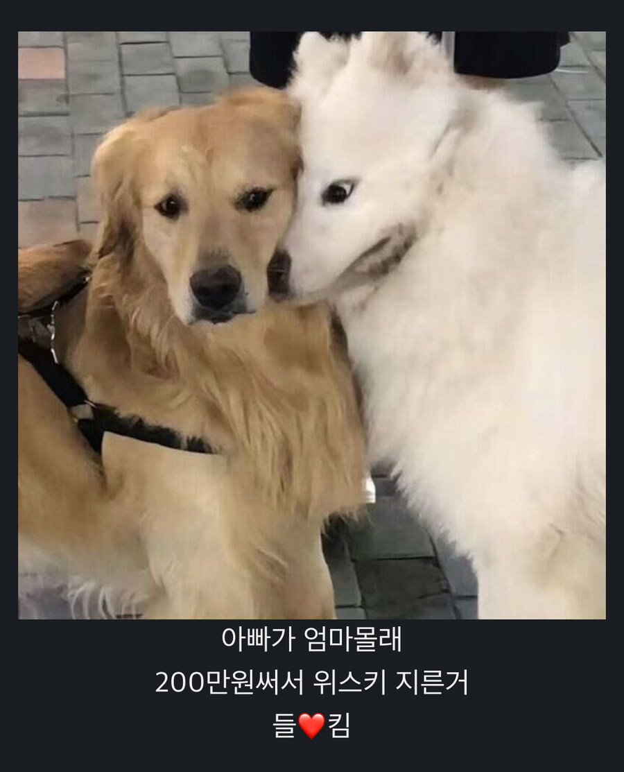 더운 여름 한방에 날릴 공포썰_1.jpg